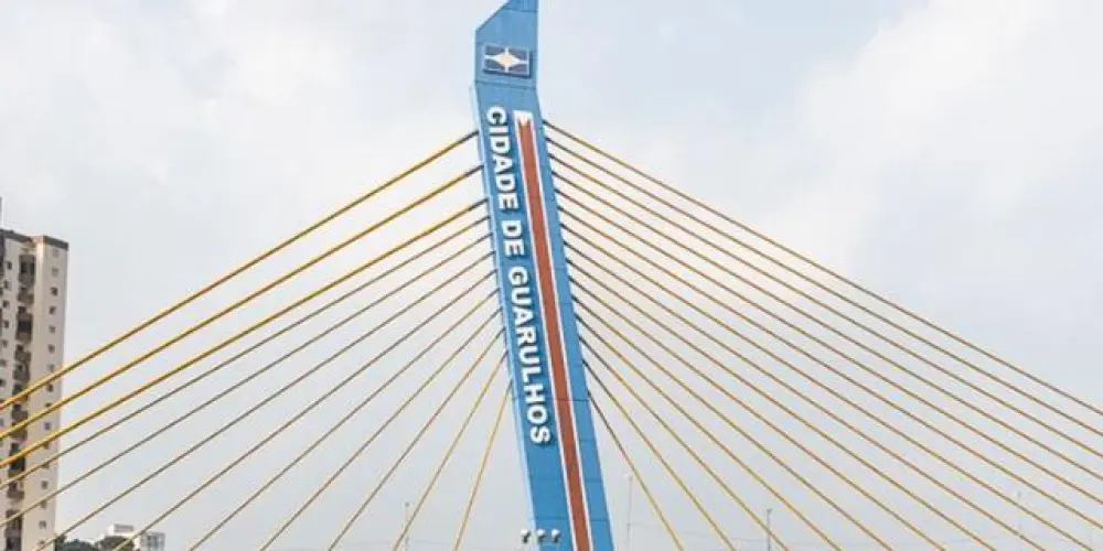 Imagem do grupo de WhatsApp GRUPO VIP DE VENDAS DE GUARULHOS