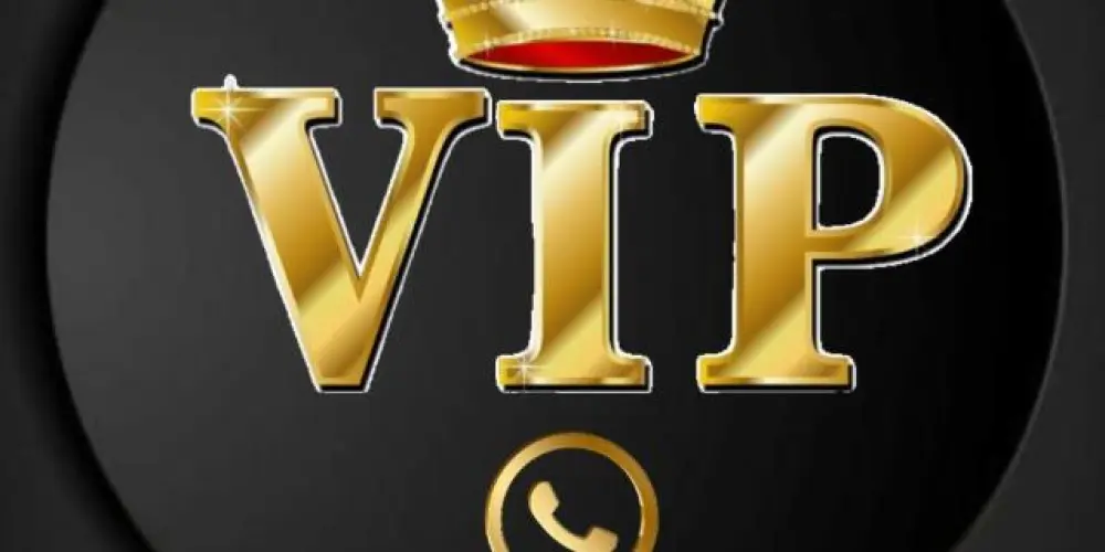 Imagem do grupo de WhatsApp 🌐🥇GRUPO VIP  RENDA EXTRA DO VITOR E JULIA ✨🔊💱