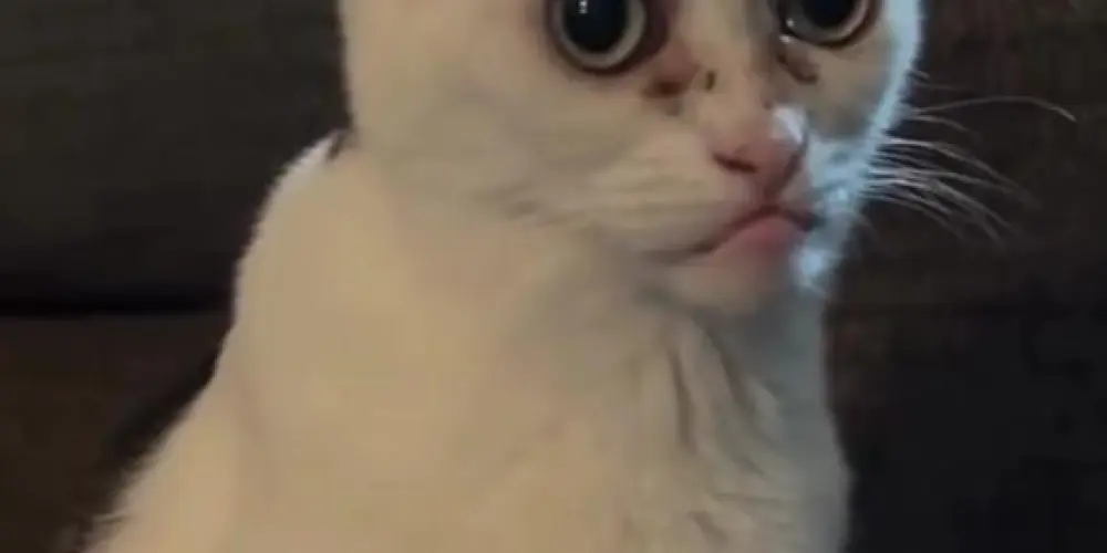 Imagem do grupo de WhatsApp Grupos da tropa do RJ