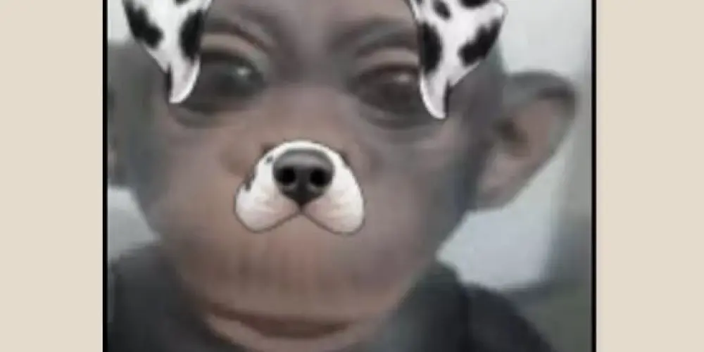 Imagem do grupo de WhatsApp Grupos dos colegas 📍