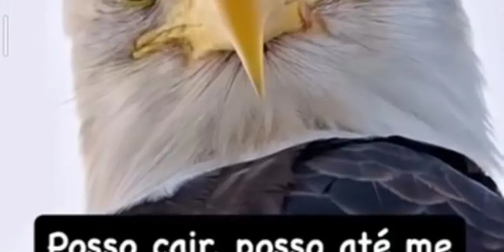 Imagem do grupo de WhatsApp Grupos evangélicos 🙇🏻‍♀️❤️🙏🏻