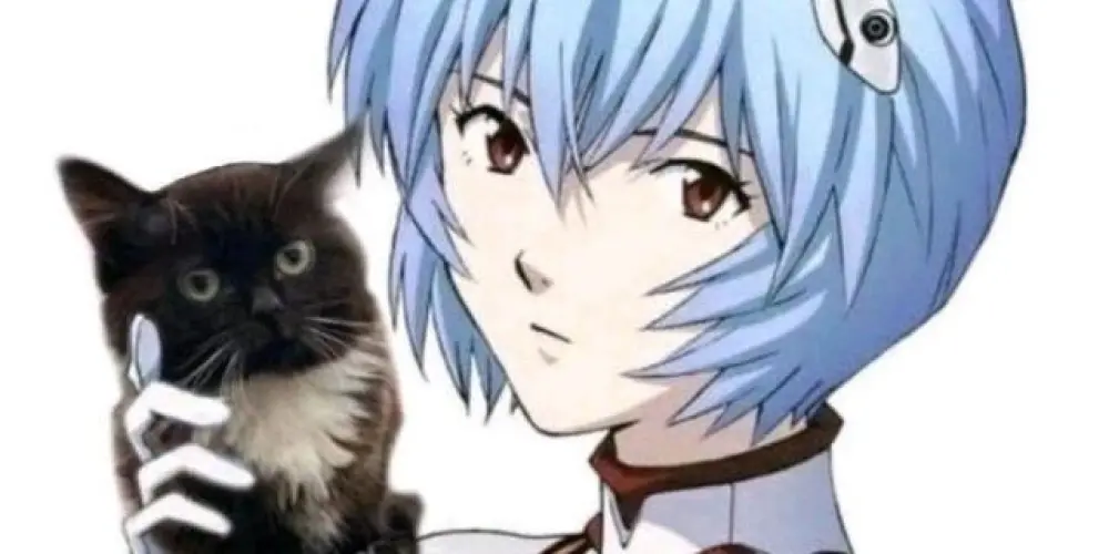 Imagem do grupo de WhatsApp ᵕ̈ᴍᴏɴᴛᴇʟʟ ғɪsʜ²⁰²⁴