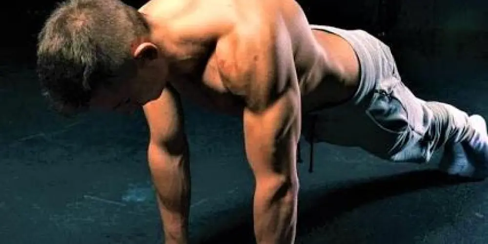 Imagem do grupo de WhatsApp Guia Da Calistenia