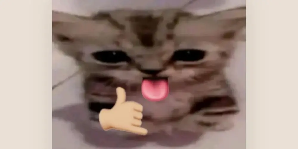Imagem do grupo de WhatsApp Guilda: ❀ɪ★ᴀᴍ★ꜱᴛᴏʀᴍ❀