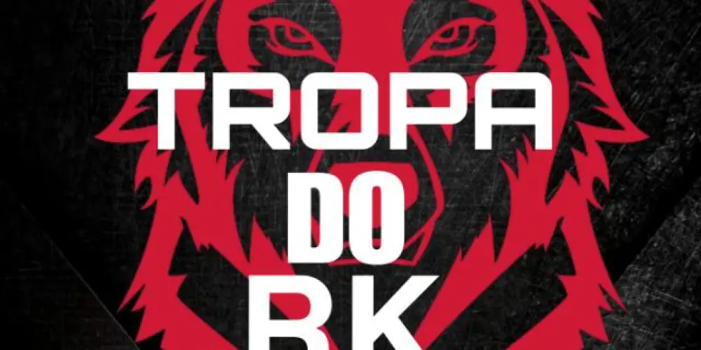 Imagem do grupo de WhatsApp GUILDA TROPA DO RK 🐺