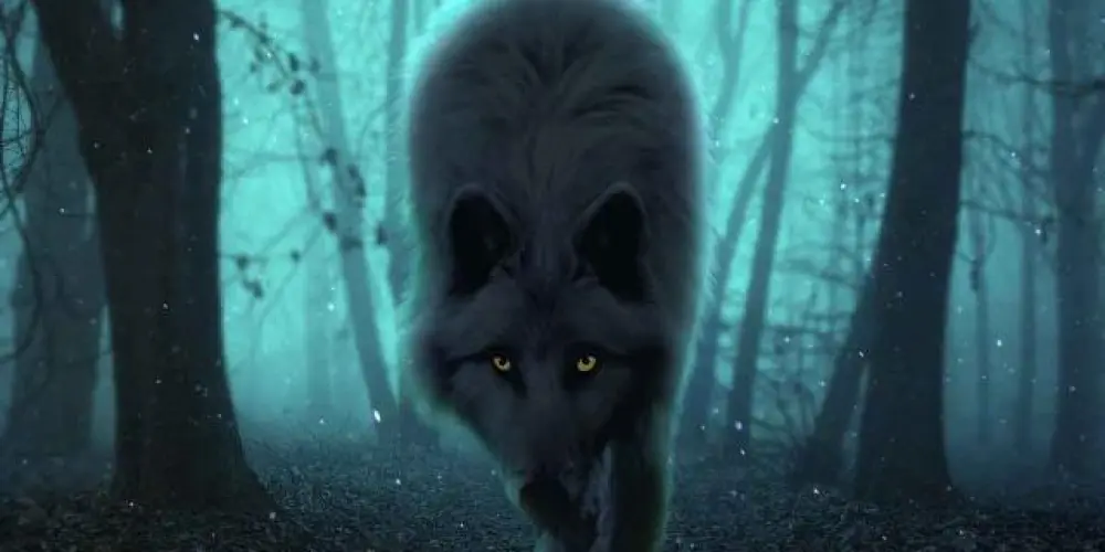 Imagem do grupo de WhatsApp Guilda WOLFES📍🥶