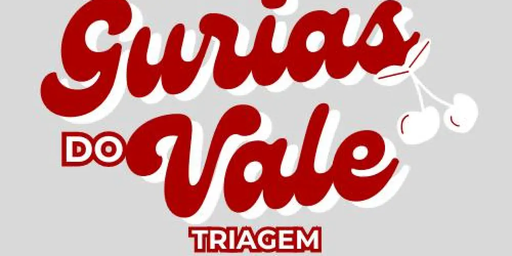 Imagem do grupo de WhatsApp Gurias do Vale