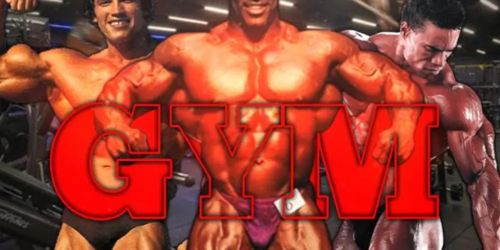 Imagem do grupo de WhatsApp Gymbros🔱