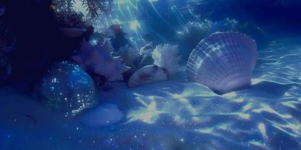 Imagem do grupo de WhatsApp 🫧 ꓖ ａｃҺａ  ᖴａм ꪱ ʟ ʏ 🪼