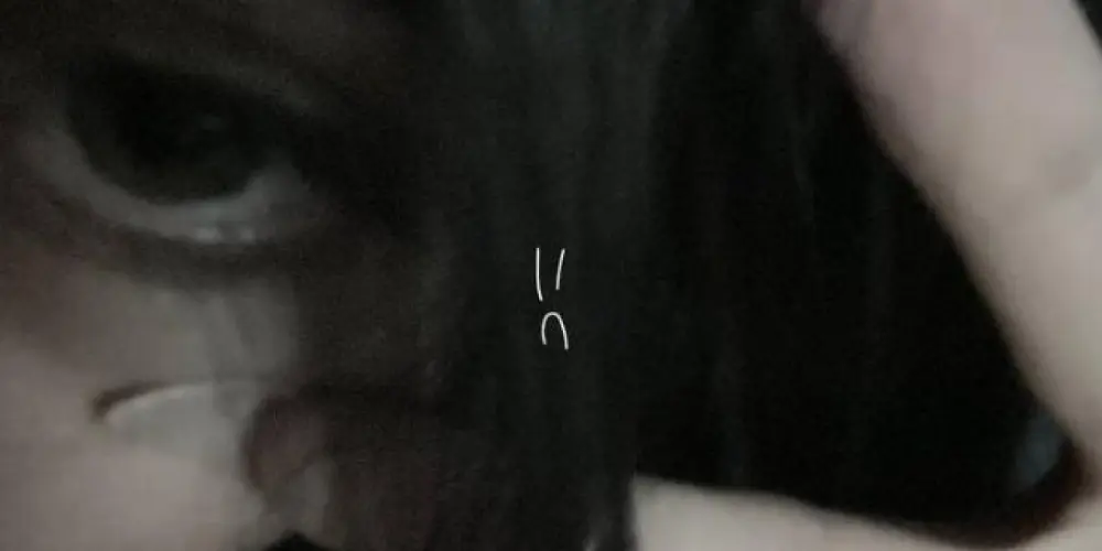 Imagem do grupo de WhatsApp H O U S E Z I N H A  D O S  P R I M A T A S