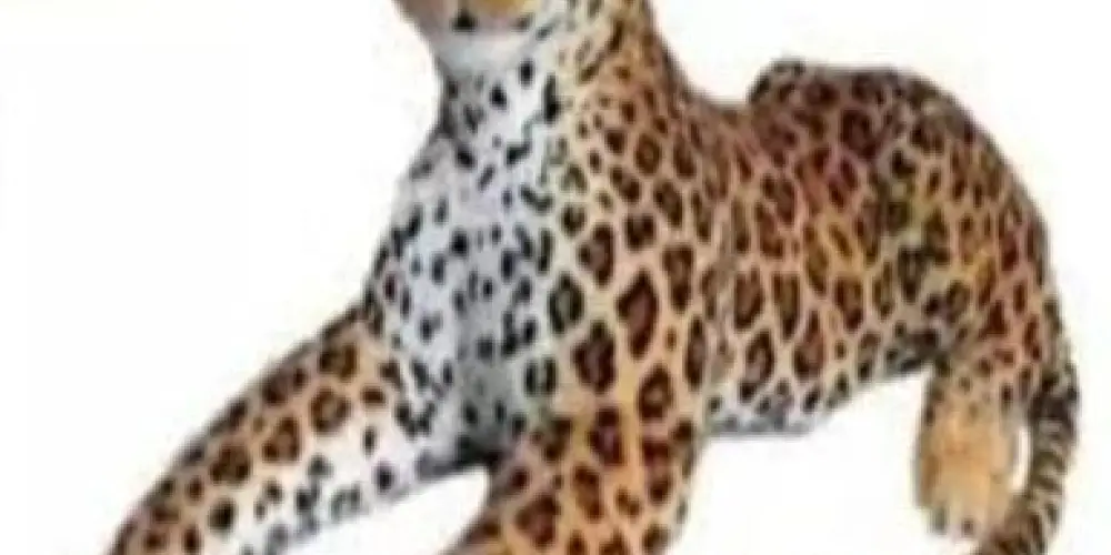 Imagem do grupo de WhatsApp 💫-Ꮢ𝞔𝘚𝞔𝑵Η𝔸 PN-💫