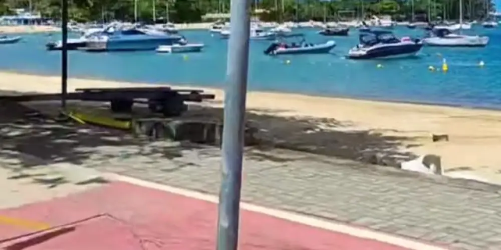 Imagem do grupo de WhatsApp Hackers  vigia