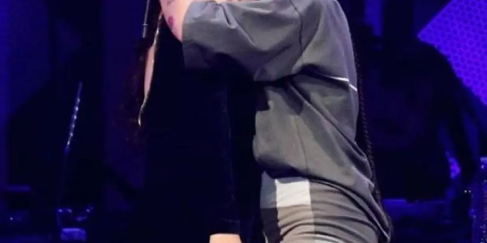 Imagem do grupo de WhatsApp Halsey Brasil