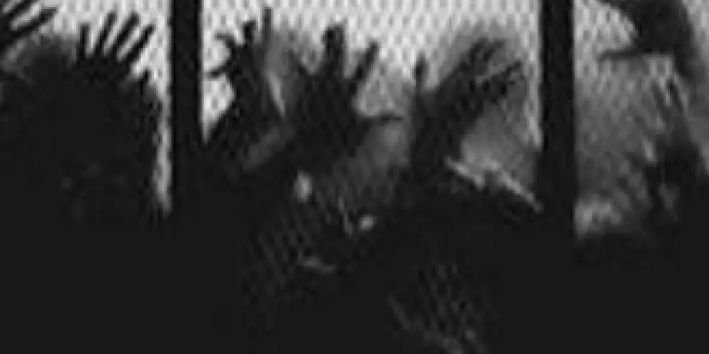 Imagem do grupo de WhatsApp 𝚁𝚎𝚌𝚎𝚙𝚌̧𝚊̃𝚘//𝑲hª𝑢s A̶p̥ͦꪮ𝔠𝔞𝚕𝕚𝒑𝑠𝑒 *𝑅𝑝𝑔*₊‧.°.⋆🧠•˚₊‧⋆.