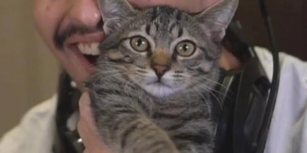 Imagem do grupo de WhatsApp HEARST 4MA