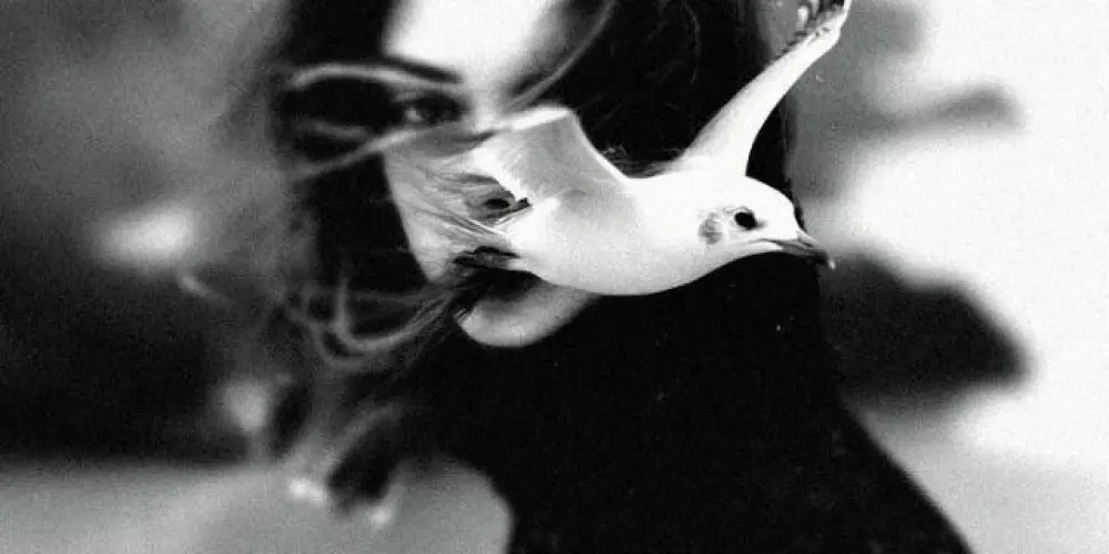 Imagem do grupo de WhatsApp Heavenly