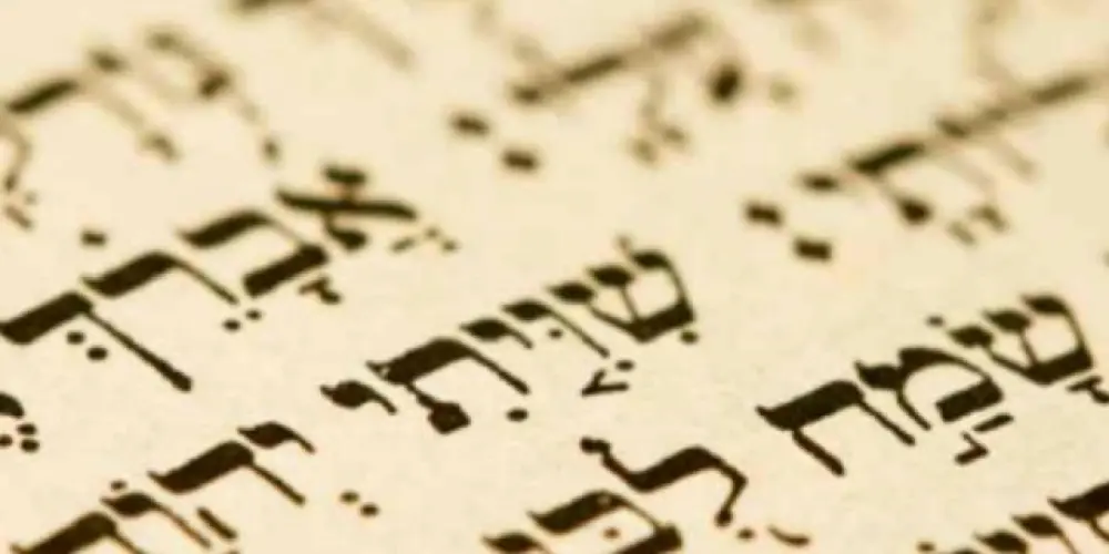 Imagem do grupo de WhatsApp HEBRAICO BÍBLICO🕎✡️🇮🇱