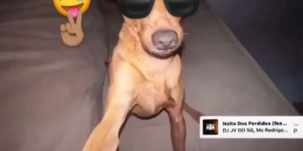 Imagem do grupo de WhatsApp Hello kitty 😆✌🏻