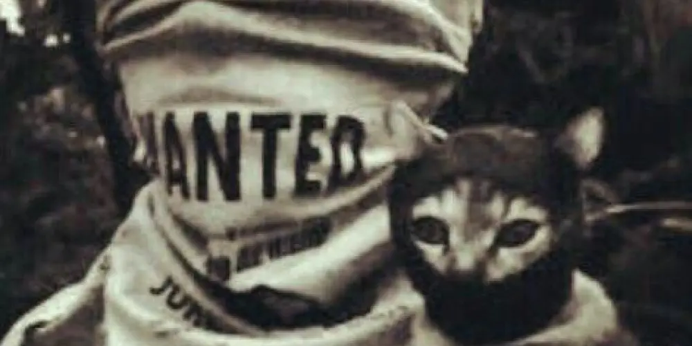 Imagem do grupo de WhatsApp ~§∆hello kitty~£¢