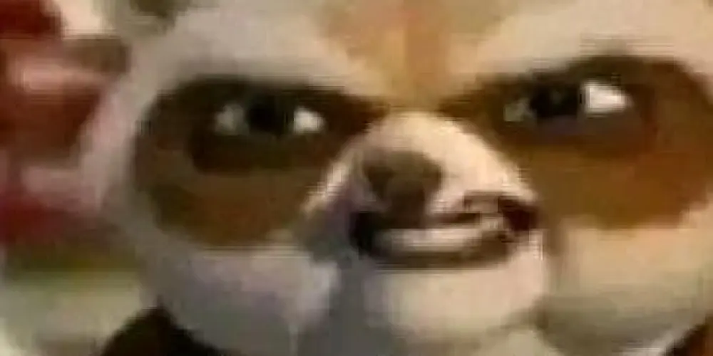 Imagem do grupo de WhatsApp Heterofobia