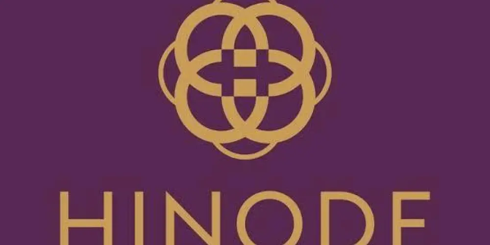 Imagem do grupo de WhatsApp Hinode na Palma da Mão