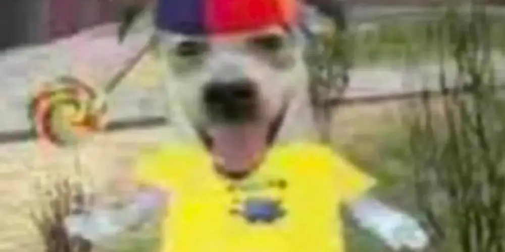 Imagem do grupo de WhatsApp Hoje ta ruim, amanhã piora 🤣💯💯💯