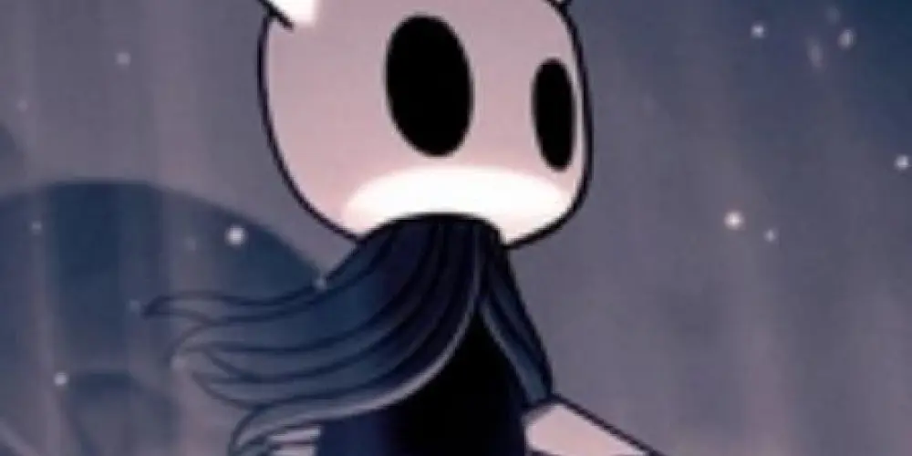 Imagem do grupo de WhatsApp hollow Kight