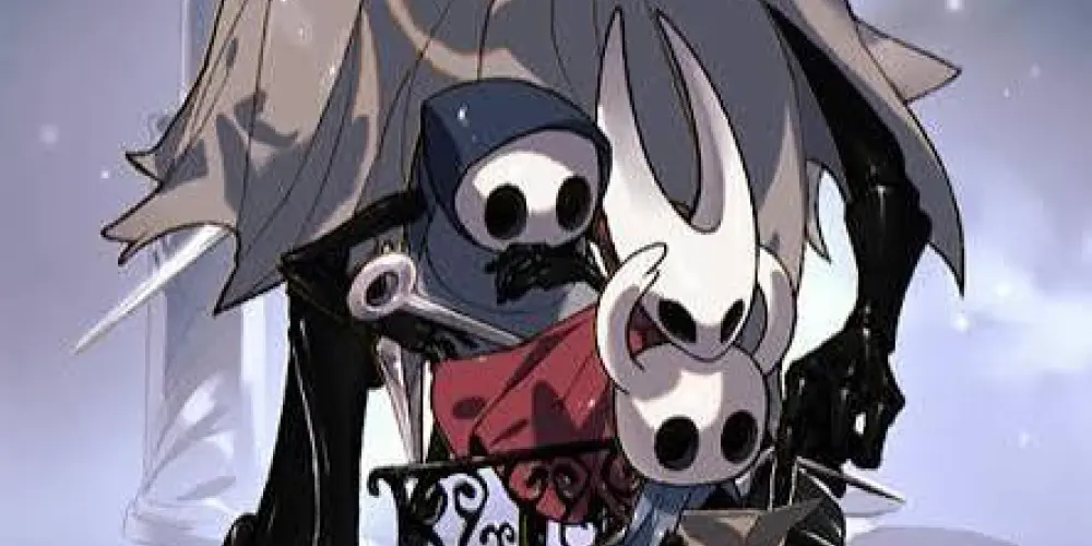 Imagem do grupo de WhatsApp Hollow knight