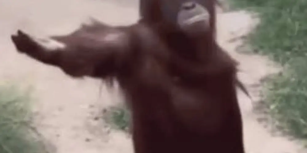 Imagem do grupo de WhatsApp HOME . ᵃᵐᶦᶻᵃᵈᵉ ²⁴ʰˢ