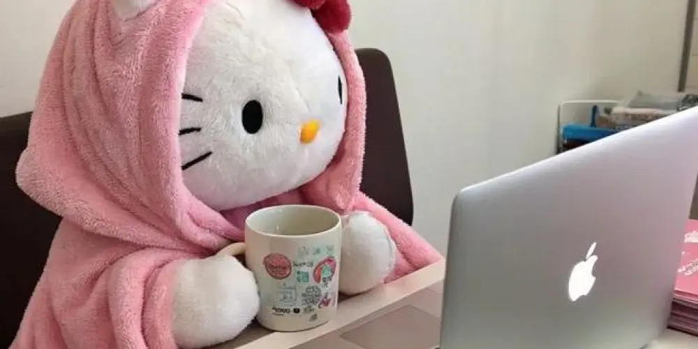 Imagem do grupo de WhatsApp Home Office - Iniciantes