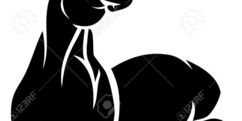 Imagem do grupo de WhatsApp Homens completos