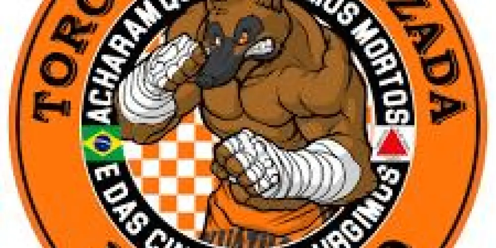 Imagem do grupo de WhatsApp Hooligans Do Brasil 🧨