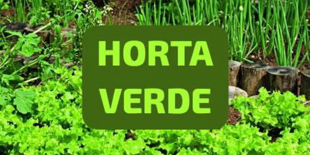 Imagem do grupo de WhatsApp Horta Verde