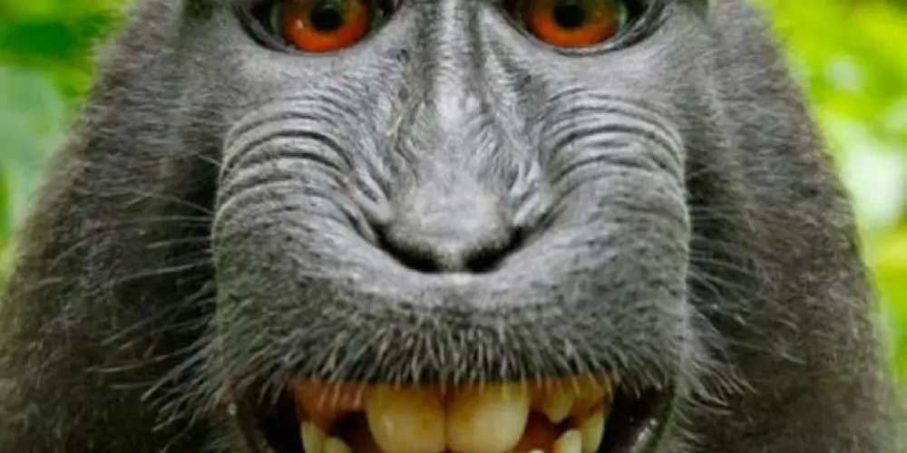 Imagem do grupo de WhatsApp HOSPICIO 24 HORAS