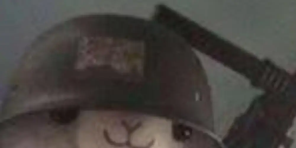 Imagem do grupo de WhatsApp HOSPÍCIO 🫨🥴😵‍💫