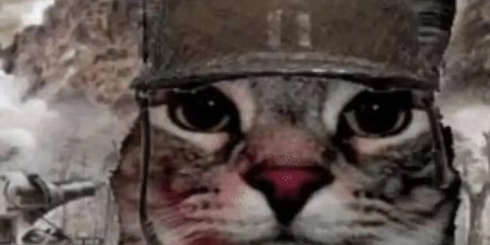 Imagem do grupo de WhatsApp 📣~Hospicio~📣