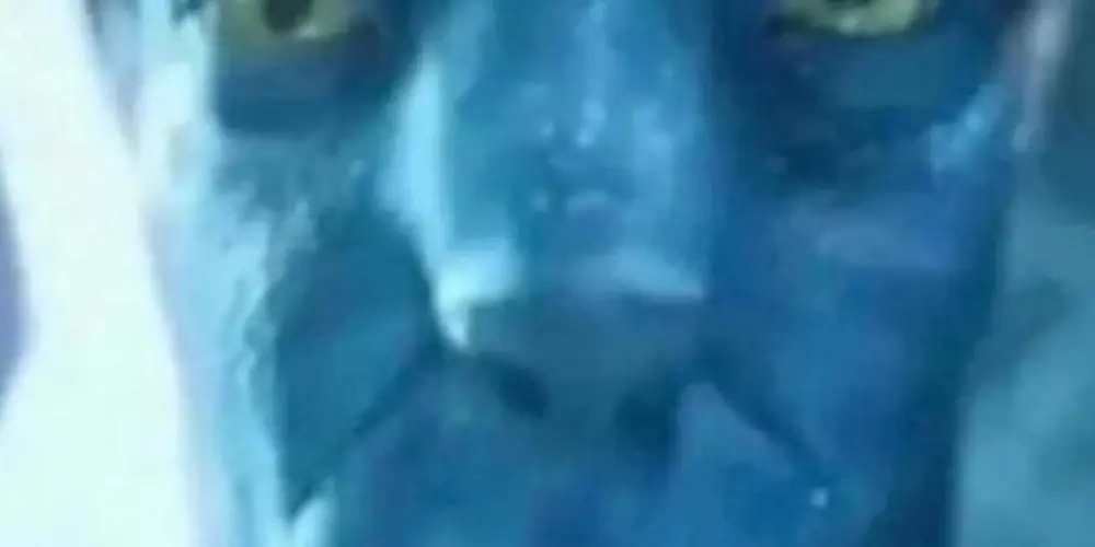 Imagem do grupo de WhatsApp Hospício