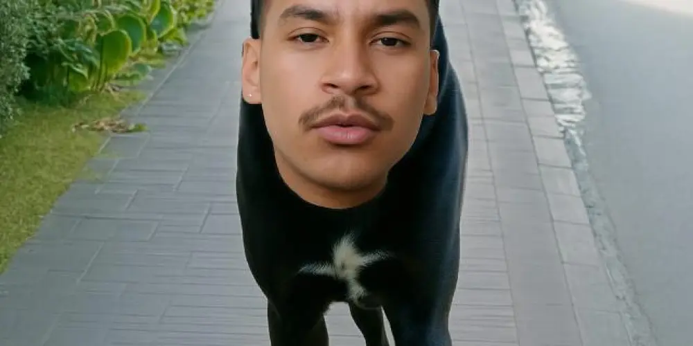 Imagem do grupo de WhatsApp Hospício