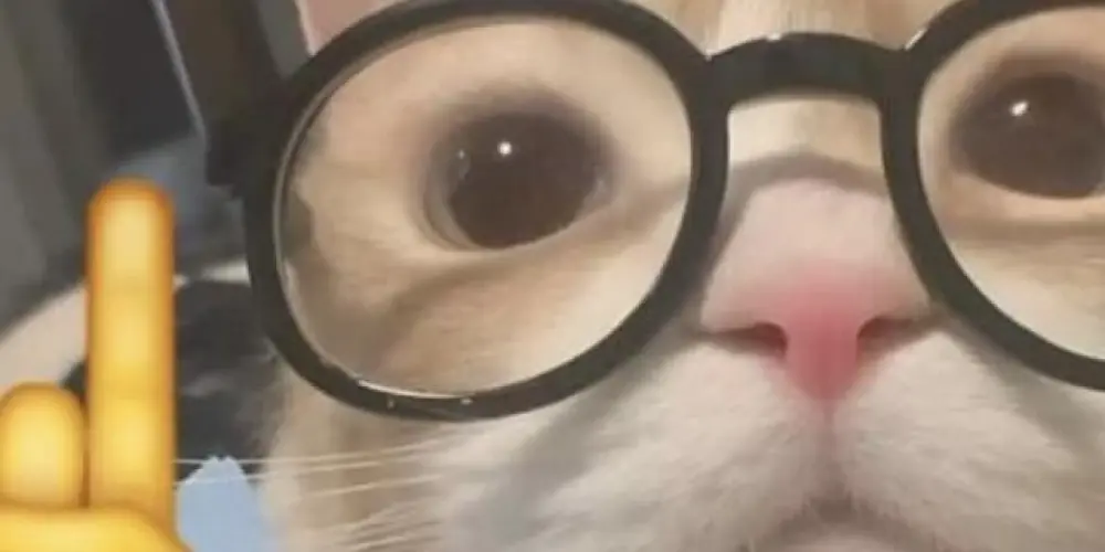 Imagem do grupo de WhatsApp 🤍┃HOSPÍCIO