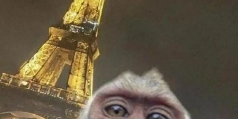 Imagem do grupo de WhatsApp Hospício