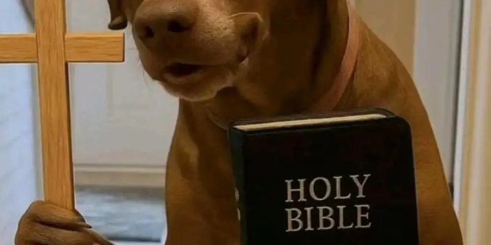 Imagem do grupo de WhatsApp HOSPÍCIO ⛑️ 💊