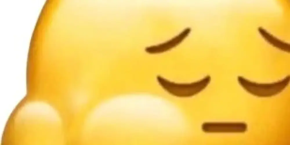 Imagem do grupo de WhatsApp ミ★ HOSPICIO ★彡