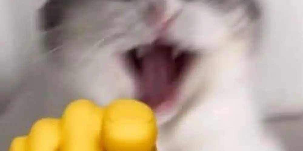 Imagem do grupo de WhatsApp Hospício dos NərĐs ☣️ ᴬ ⁱⁿˢᵃⁿⁱᵈᵃᵈᵉ é ⁱⁿᵉᵛⁱᵗáᵛᵉˡ