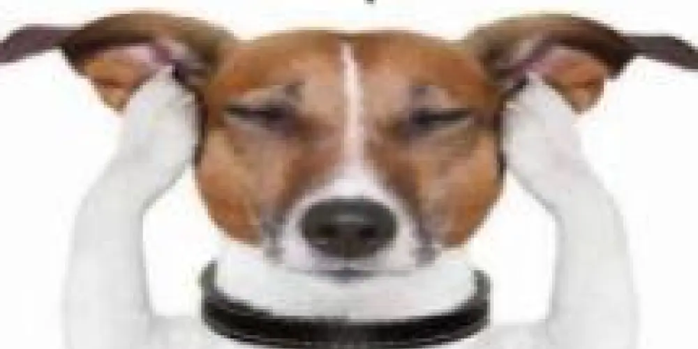 Imagem do grupo de WhatsApp Hospício integral🔥