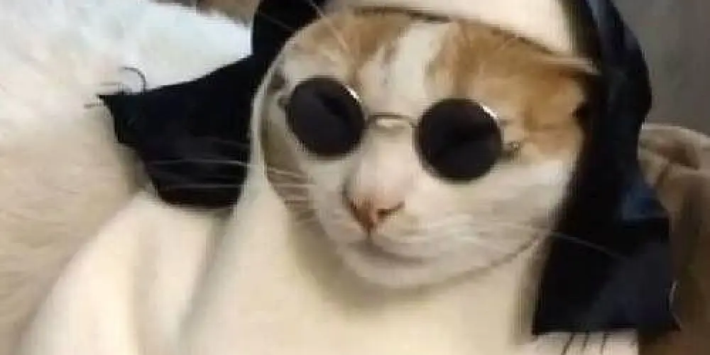 Imagem do grupo de WhatsApp Hospício maluco📍