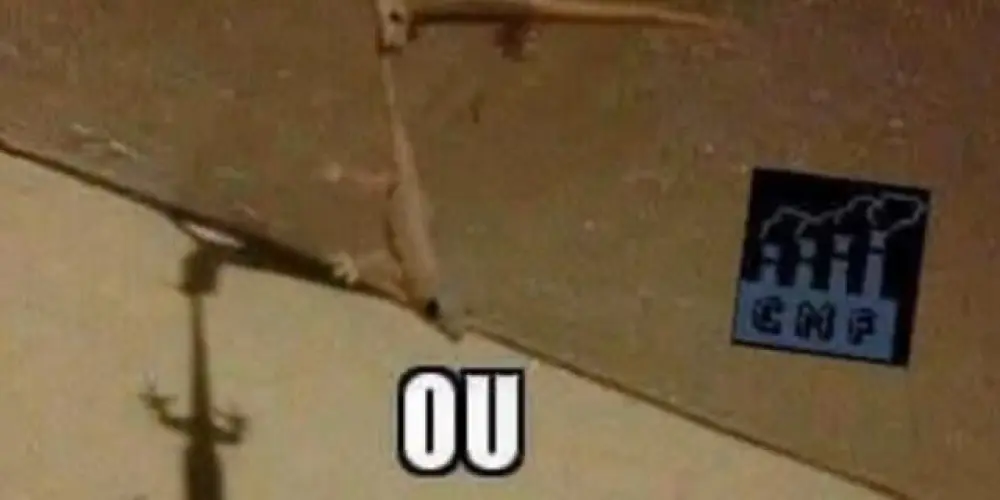 Imagem do grupo de WhatsApp Hospício pra desdoidar