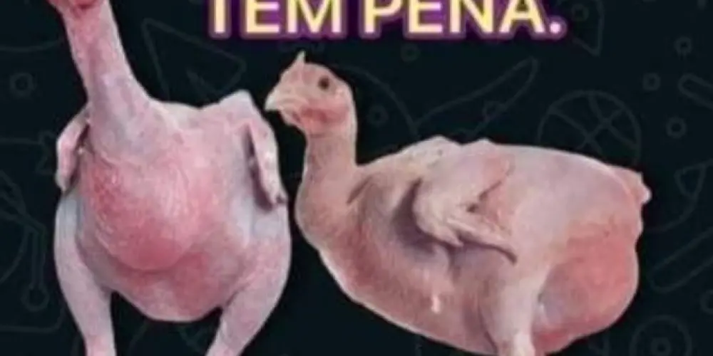 Imagem do grupo de WhatsApp HOSPÍCIO SEM LIMITES