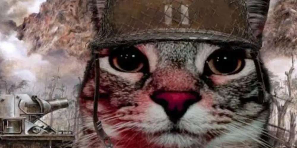 Imagem do grupo de WhatsApp Hospital de loucos