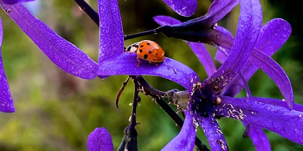 Imagem do grupo de WhatsApp Hotel hot