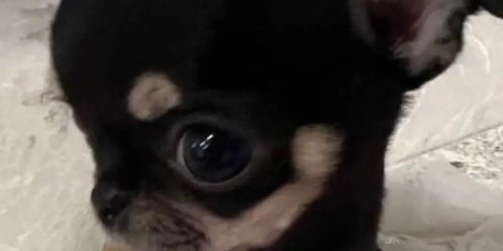 Imagem do grupo de WhatsApp ☆°~House~°☆